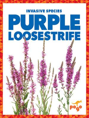 cover image of Purple Loosestrife